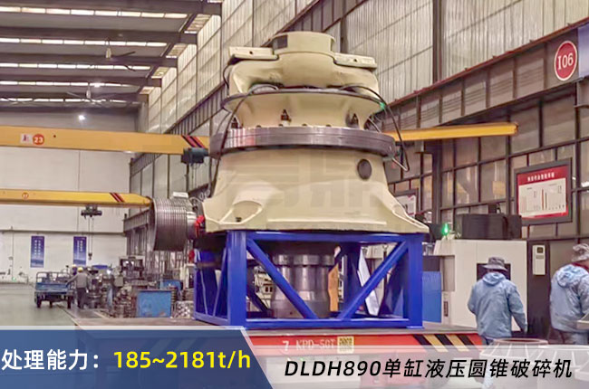 DLDH890